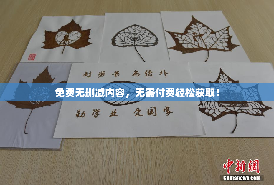 免费无删减内容，无需付费轻松获取！
