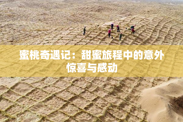 蜜桃奇遇记：甜蜜旅程中的意外惊喜与感动