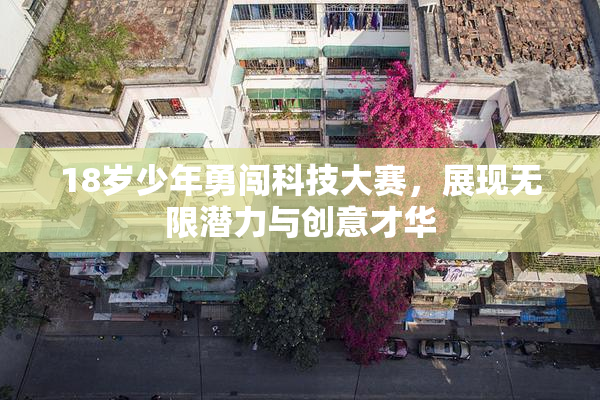 18岁少年勇闯科技大赛，展现无限潜力与创意才华