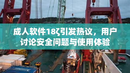 成人软件18ζ引发热议，用户讨论安全问题与使用体验