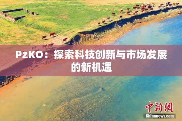 PzKO：探索科技创新与市场发展的新机遇
