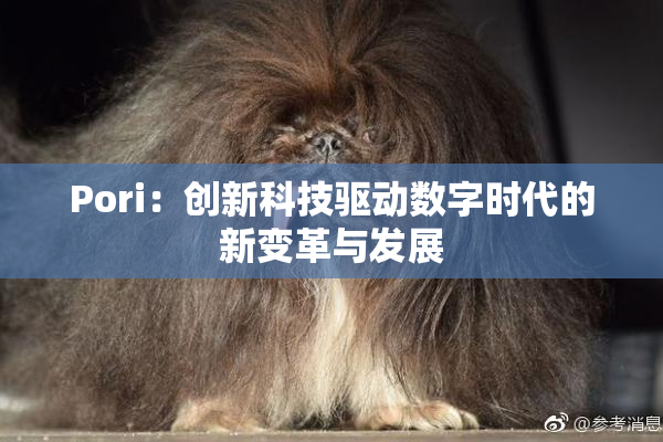 Pori：创新科技驱动数字时代的新变革与发展