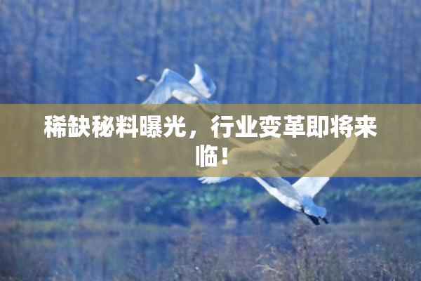 稀缺秘料曝光，行业变革即将来临！