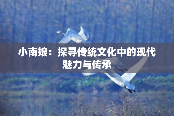 小南娘：探寻传统文化中的现代魅力与传承