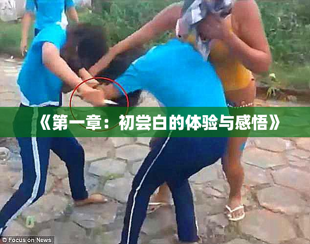 《第一章：初尝白的体验与感悟》