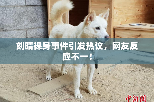 刻晴裸身事件引发热议，网友反应不一！