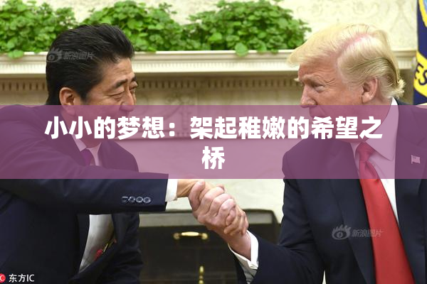 小小的梦想：架起稚嫩的希望之桥