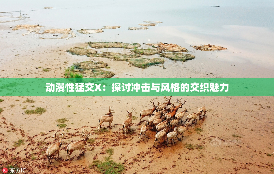 动漫性猛交X：探讨冲击与风格的交织魅力
