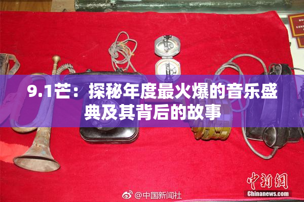 9.1芒：探秘年度最火爆的音乐盛典及其背后的故事