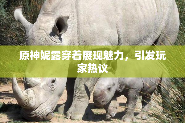 原神妮露穿着展现魅力，引发玩家热议