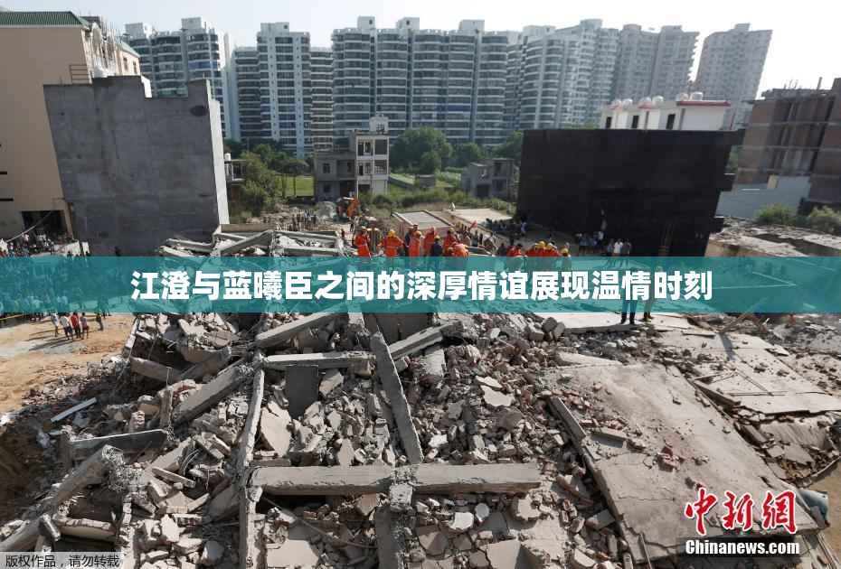 江澄与蓝曦臣之间的深厚情谊展现温情时刻
