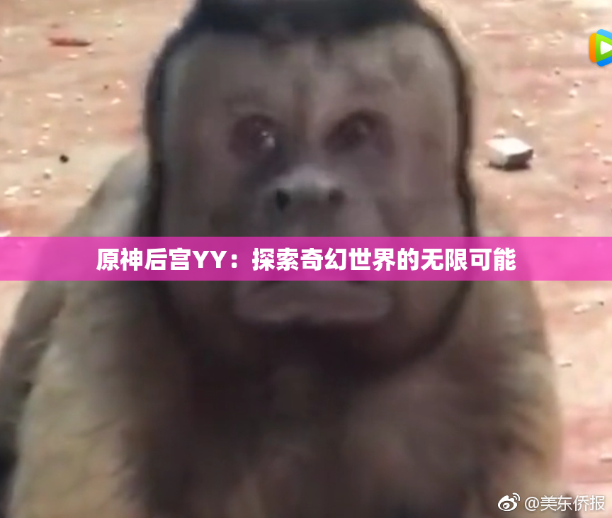 原神后宫YY：探索奇幻世界的无限可能