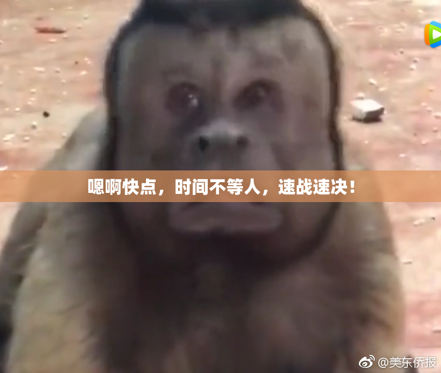 嗯啊快点，时间不等人，速战速决！