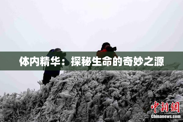 体内精华：探秘生命的奇妙之源