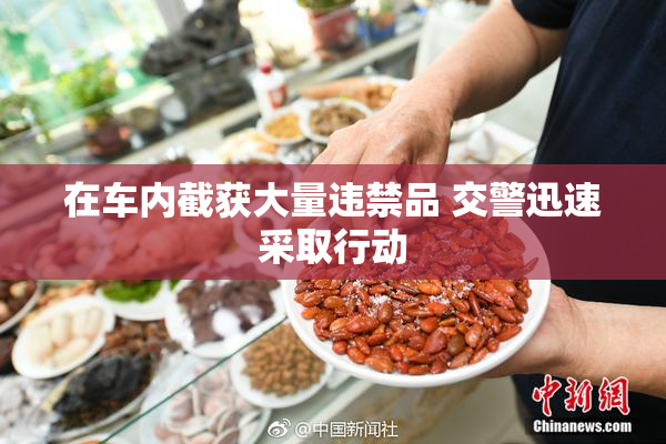 在车内截获大量违禁品 交警迅速采取行动