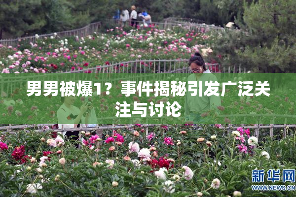 男男被爆1？事件揭秘引发广泛关注与讨论