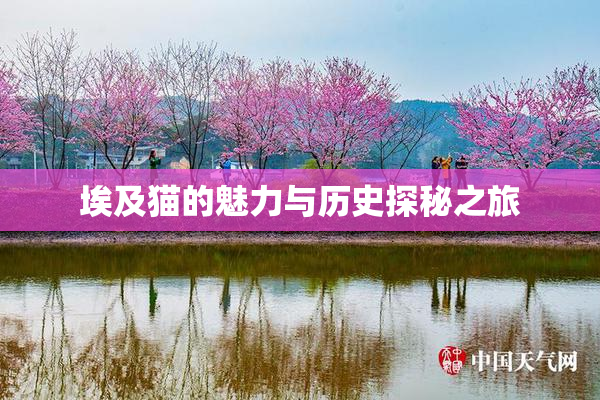 埃及猫的魅力与历史探秘之旅