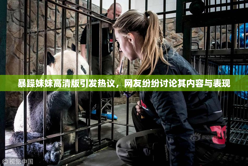 暴躁妹妹高清版引发热议，网友纷纷讨论其内容与表现