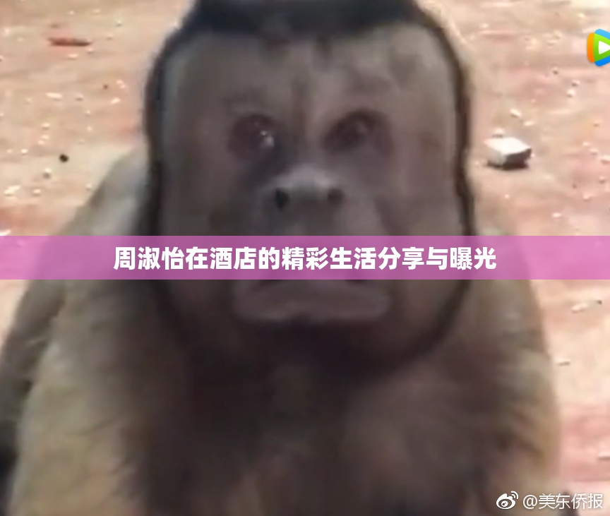 周淑怡在酒店的精彩生活分享与曝光