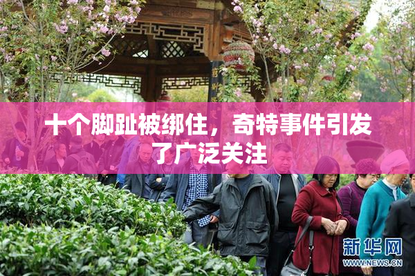 十个脚趾被绑住，奇特事件引发了广泛关注