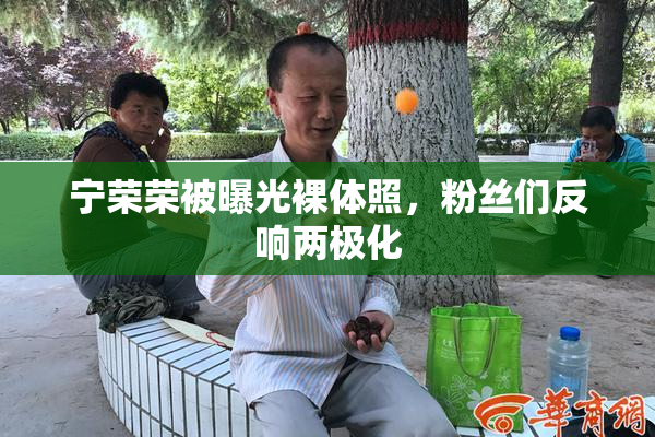 宁荣荣被曝光裸体照，粉丝们反响两极化