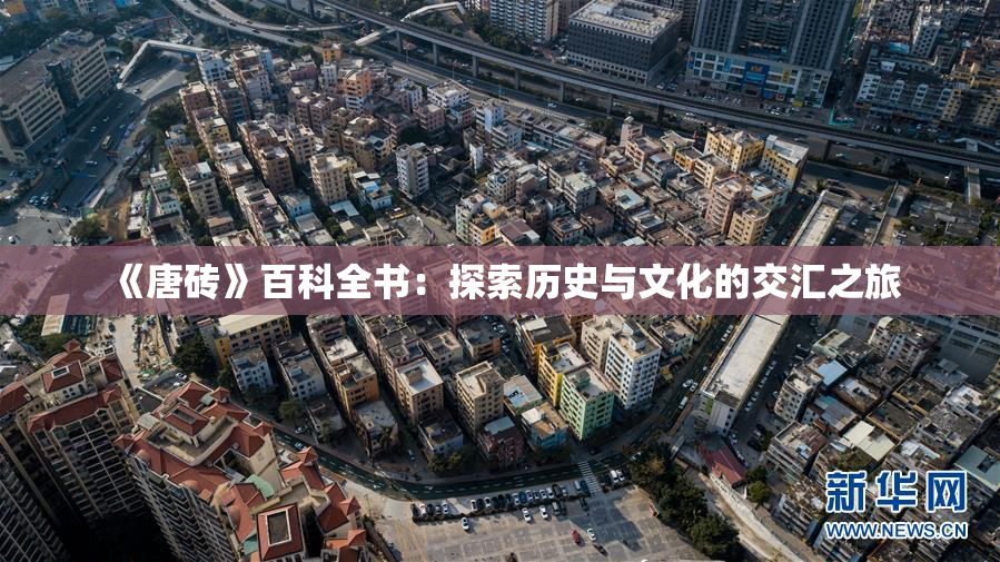 《唐砖》百科全书：探索历史与文化的交汇之旅