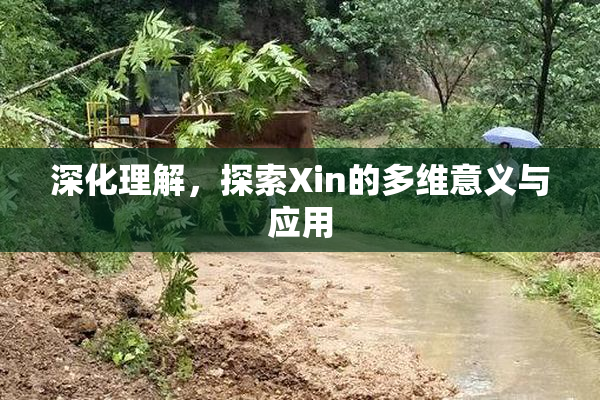 深化理解，探索Xin的多维意义与应用