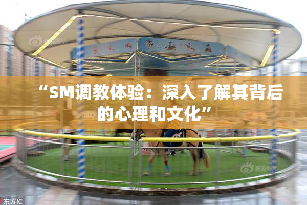“SM调教体验：深入了解其背后的心理和文化”