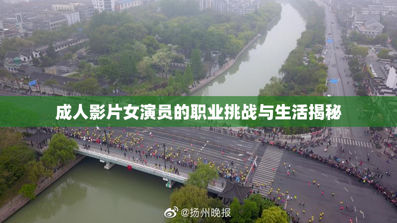 成人影片女演员的职业挑战与生活揭秘