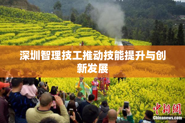 深圳智理技工推动技能提升与创新发展