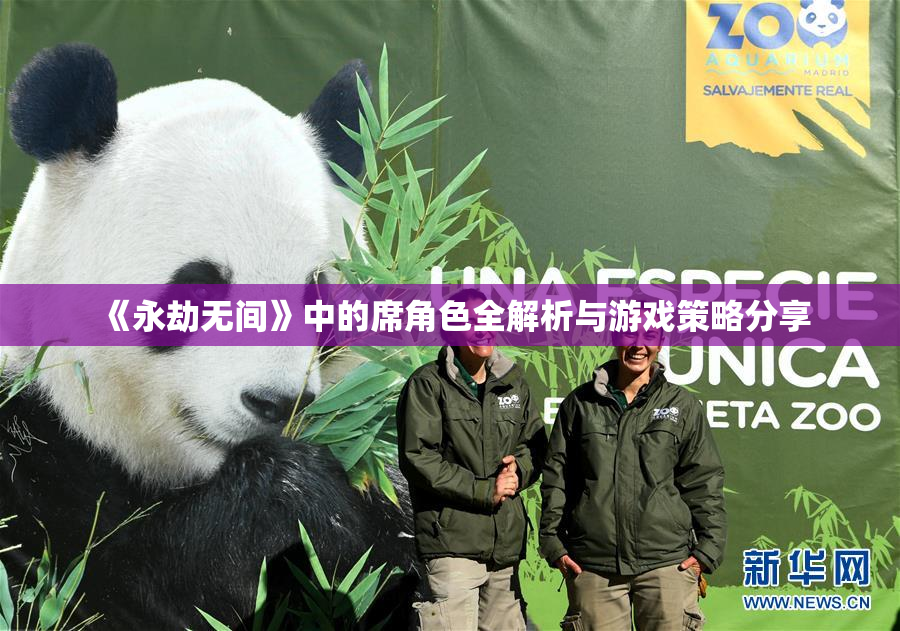 《永劫无间》中的席角色全解析与游戏策略分享