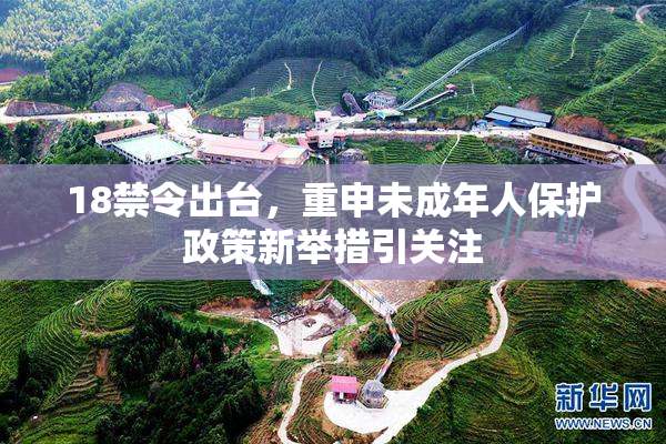 18禁令出台，重申未成年人保护政策新举措引关注