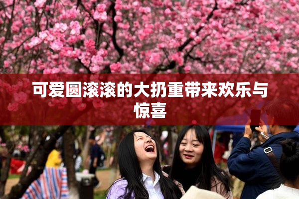 可爱圆滚滚的大扔重带来欢乐与惊喜