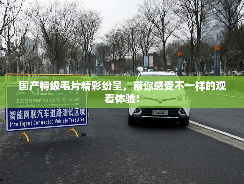 国产特级毛片精彩纷呈，带你感受不一样的观看体验！