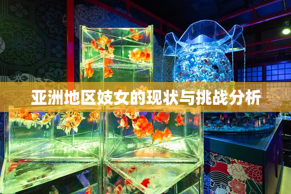 亚洲地区妓女的现状与挑战分析