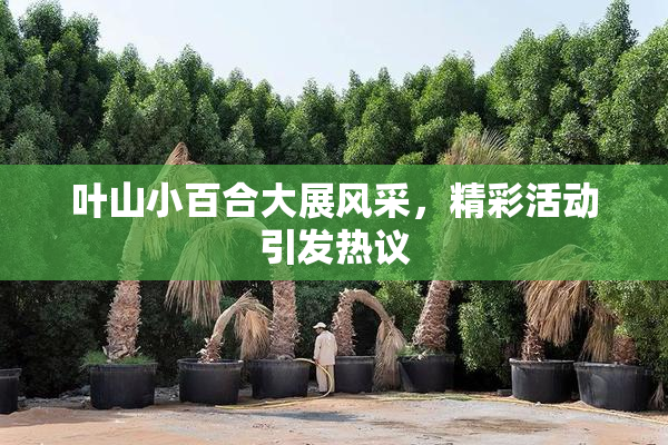 叶山小百合大展风采，精彩活动引发热议