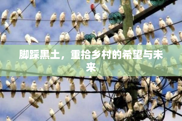 脚踩黑土，重拾乡村的希望与未来