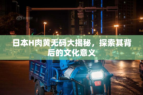 日本H肉黄无码大揭秘，探索其背后的文化意义