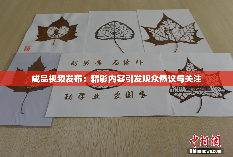 成品视频发布：精彩内容引发观众热议与关注