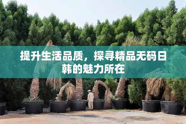 提升生活品质，探寻精品无码日韩的魅力所在