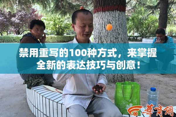 禁用重写的100种方式，来掌握全新的表达技巧与创意！