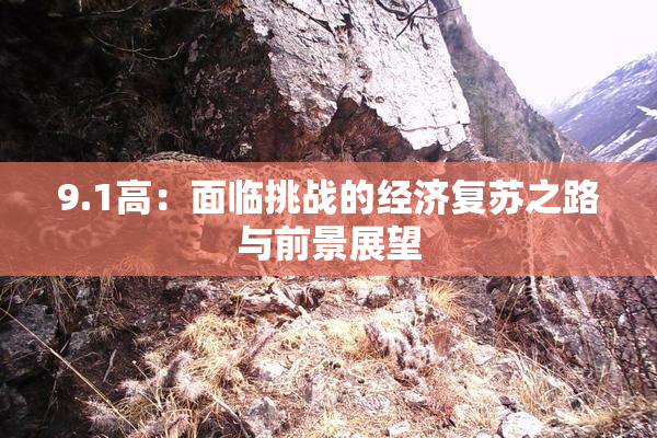 9.1高：面临挑战的经济复苏之路与前景展望