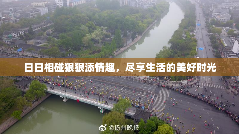 日日相碰狠狠添情趣，尽享生活的美好时光