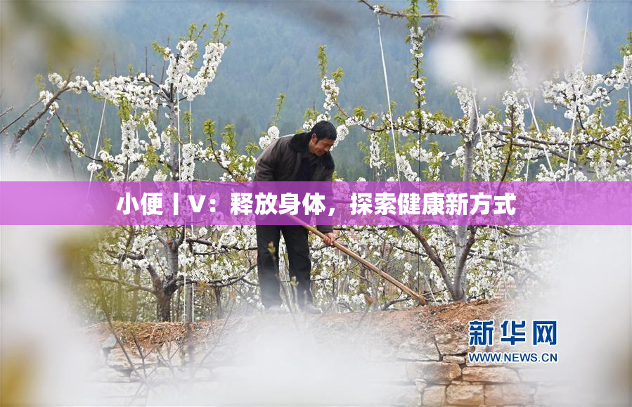 小便丨V：释放身体，探索健康新方式