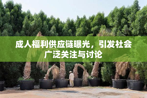 成人福利供应链曝光，引发社会广泛关注与讨论