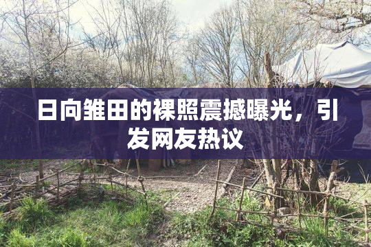 日向雏田的裸照震撼曝光，引发网友热议
