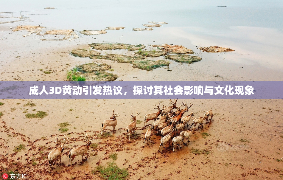 成人3D黄动引发热议，探讨其社会影响与文化现象
