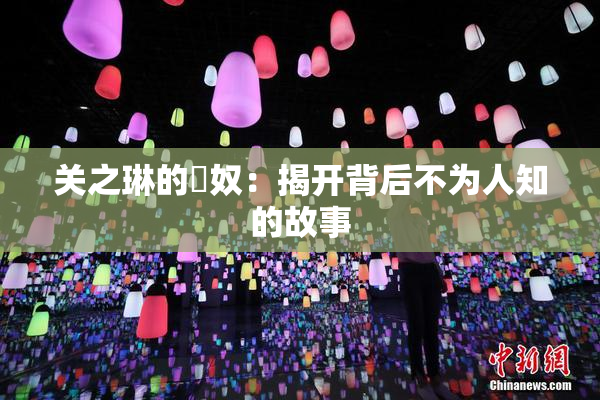 关之琳的婬奴：揭开背后不为人知的故事