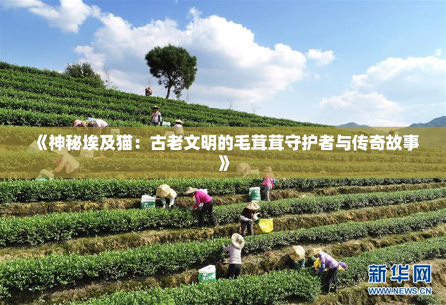 《神秘埃及猫：古老文明的毛茸茸守护者与传奇故事》