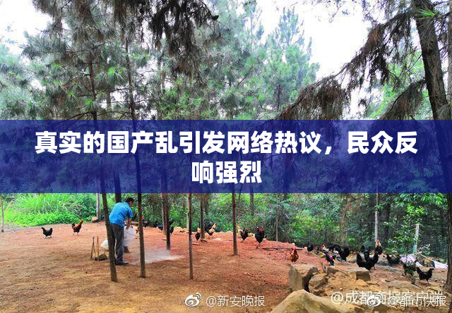 真实的国产乱引发网络热议，民众反响强烈